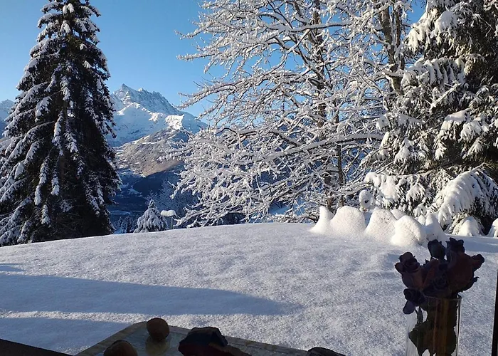 With Big Garden And Stunning View Chesieres * Villars-sur-Ollon