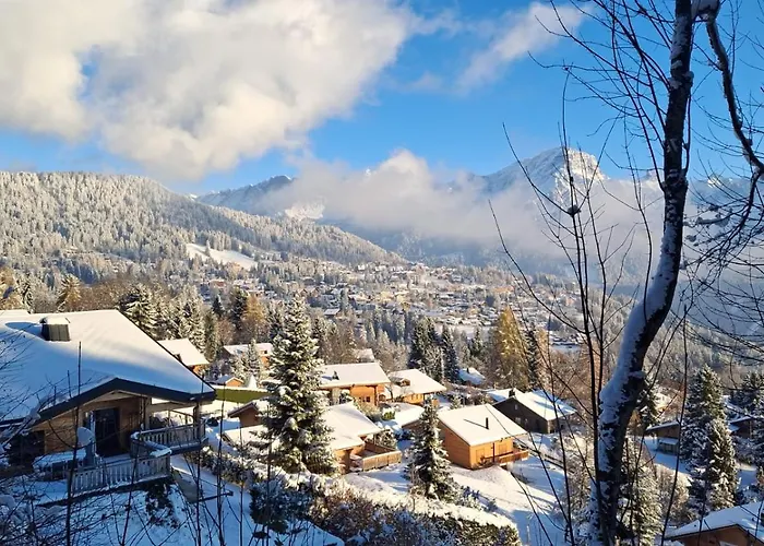 With Big Garden And Stunning View Chesieres