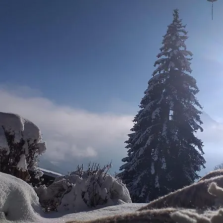 With Big Garden And Stunning View Chesieres * Вилларс-Сур-Оллон