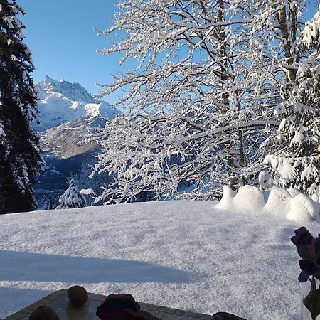 With Big Garden And Stunning View Chesieres * Вилларс-Сур-Оллон