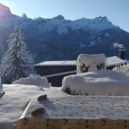 With Big Garden And Stunning View Chesieres