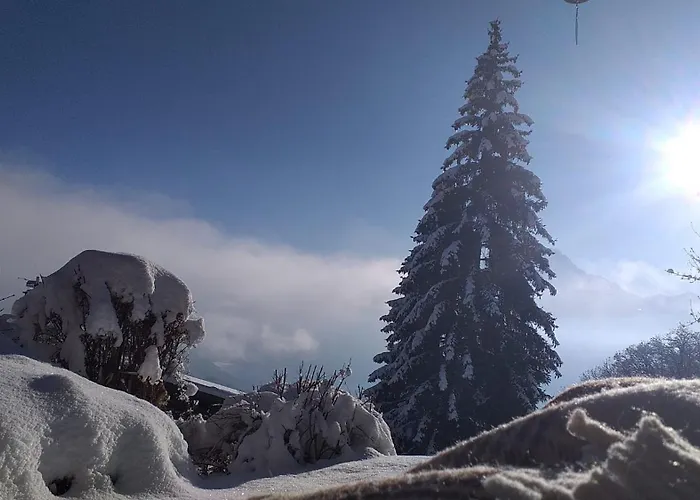With Big Garden And Stunning View Chesieres * Villars-sur-Ollon